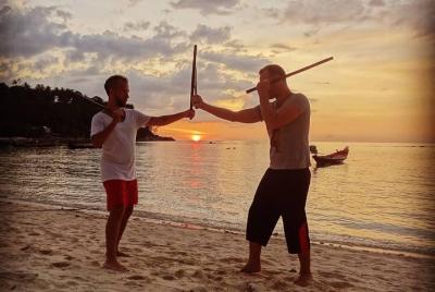 Principios de artes marciales - seminarios privados (4x2h)