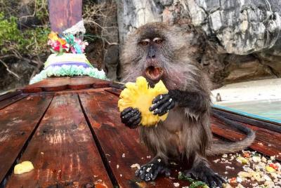 Experiencia de día completo al atardecer privado personalizado