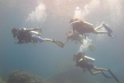 Curso Discover Scuba Diving