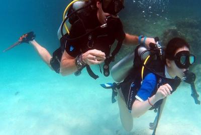 Medio día de submarinismo PADI de descubrimiento del submarinismo desde Koh Phi Phi