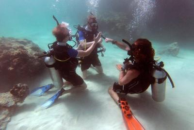 Curso de Certificación de PADI Open Water Scuba Diving de 3 días en Koh Phi Phi