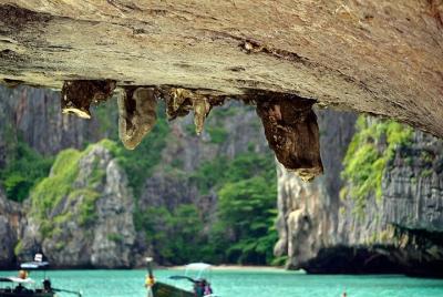 Phi Phi Sunrise Premium Tour en lancha rápida