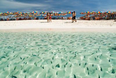  Excursión de medio día a la isla Khai en lancha rápida desde Phu