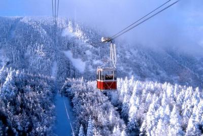 Bursa verde recorrido por u puede viajar