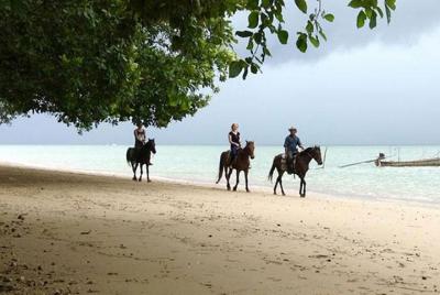 Excursión a caballo de 1 hora en la playa de Krabi
