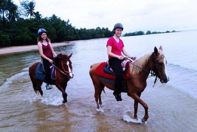 Krabi cabalgatas en la playa