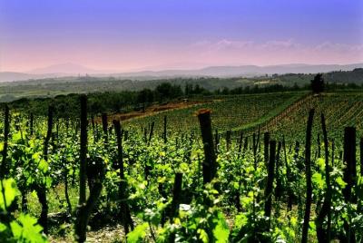 Franciacorta - Elegancia en la bodega