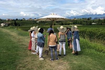 Visita y cata de vinos en Tenuta La Cà