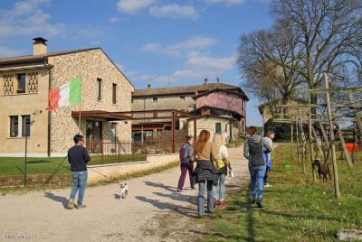 Tour de viñedos para grupos pequeños y degustación de vinos en el campo del lago de Garda