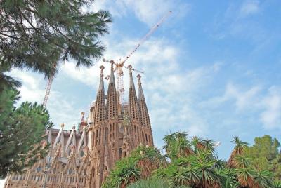Sagrada Familia Horas de la mañana Tours