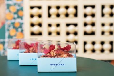 Summer Vicens: Visita + Audioguía + Pastel de frambuesa y yogurt