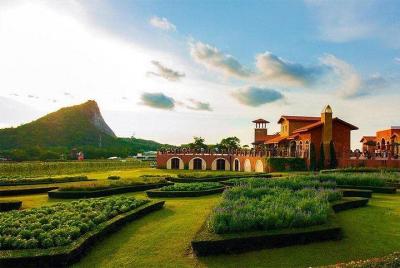 Silverlake Vineyard en Pattaya con traslado privado