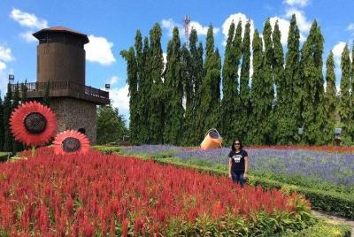 Silverlake Vineyard en Pattaya con traslado privado