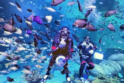 Entradas para el acuario de Phuket y el Museo Trick Eye