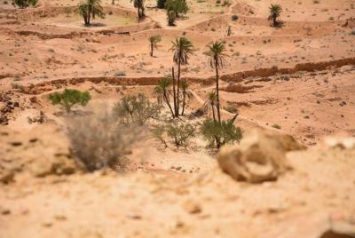 Los tres oasis del desierto y la montaña.