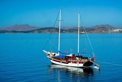 Paseo en bote privado por la bahía de Sides