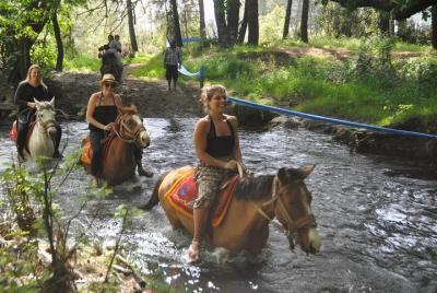 Paseos a caballo por Titreyengol y el pinar de Sorgun desde un lado Paseos a caballo por Titreyengol y el pinar de Sorgun desde un lado