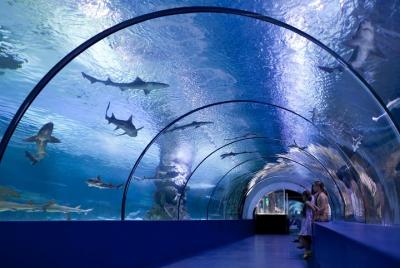 Acuario y museo de cera Face2Face de Side Acuario y museo de cera Face2Face de Side