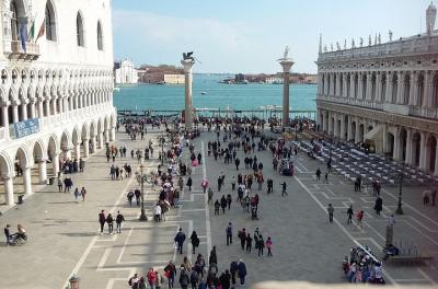 ¡NUEVA búsqueda del tesoro! ¡Descubre los animales!