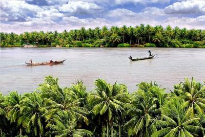 Excursión de 1 día desde Can Tho a Ben Tre - cocoteros rey - volver / a Sai Gon Excursión de 1 día desde Can Tho a Ben Tre - cocoteros rey - volver / a Sai Gon
