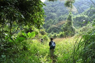 Vietnam Trek & Paddle Tour - Rainforest & Lan Ha Bay Challenge Vietnam Trek & Paddle Tour - Rainforest & Lan Ha Bay Challenge