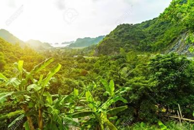 Parque Nacional Cat Ba Trekking Full Day desde Cat Ba Island Parque Nacional Cat Ba Trekking Full Day desde Cat Ba Island