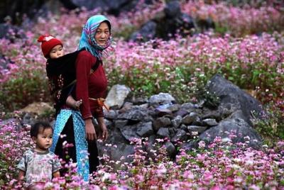 Visita cultural guiada de 2 días por la ciudad de Ha Giang y la aldea de Nam Dam