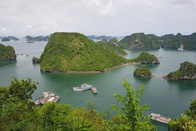 Excursión por la costa: maravilloso crucero de un día por la bahía de Ha Long Excursión por la costa: maravilloso crucero de un día por la bahía de Ha Long