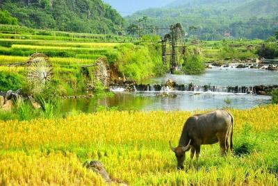 Excursión de 1 día a Mai Chau desde Hanoi