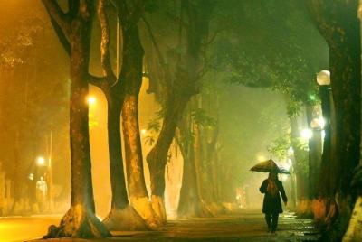 Oferta especial Tour gratis + Cyclo tour de noche al Mausoleo de Ho Chi MInh