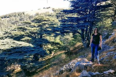 Vino y senderismo en el bosque de cedros Vino y senderismo en el bosque de cedros