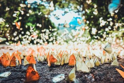 Excursión privada de un día al Parque Nacional de Cuc Phuong desde Hanoi