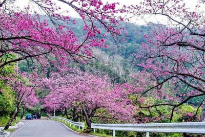 Viaje de luna de miel a Vietnam
