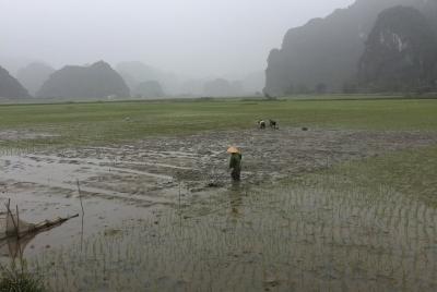 Ofrecemos todo tipo de actividades y programas y tours a medida para clientes