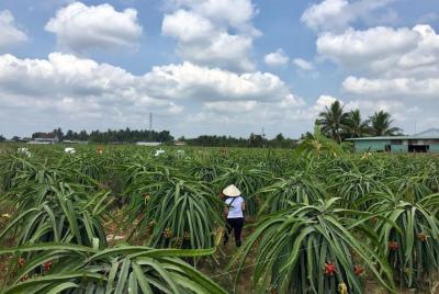 Auténtico viaje invisible de un día al delta del Mekong