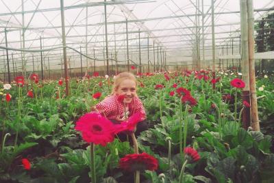 Excursión privada al campo de Da Lat