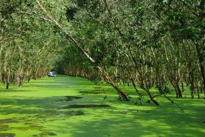 Tour de 3 días por el Delta del Mekong con el Santuario de Tra Su