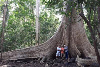 Parque Nacional Nam Cat Tien Privado 2 Días 1 Noche