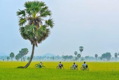 3 días de experiencia en Ho Chi Minh (Saigón) y el Delta del Mekong