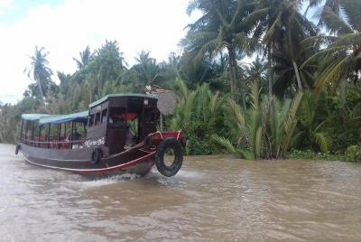 Tour de un día en el delta del Mekong - My Tho - Ben Tre - El río Mekong superior
