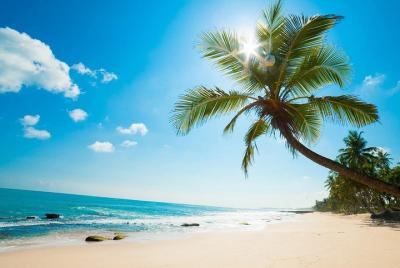 Con Dao Getaway 3 días en lancha rápida