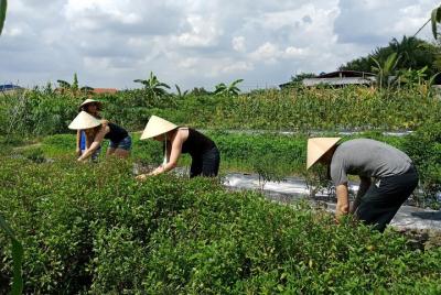Clase de cocina típica vietnamita en la naturaleza