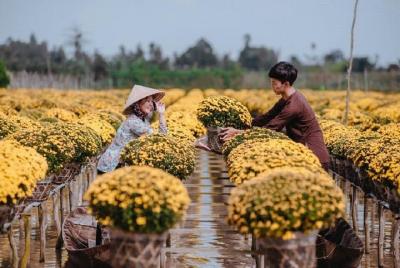 Delta del Mekong 3 días 2 noches - Tết vacaciones (vacaciones de año nuevo)
