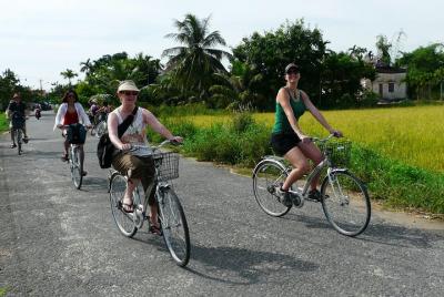 Excursión de medio día al pueblo de Tra Que Herbal desde Hoi An Excursión de medio día al pueblo de Tra Que Herbal desde Hoi An