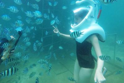 Excursión guiada privada de 2 días a Hoi An y Cham Island con Sea Trek Excursión guiada privada de 2 días a Hoi An y Cham Island con Sea Trek