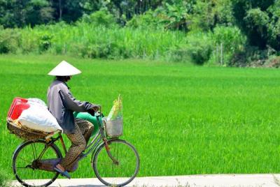 Vistazo de Hoi An Countryside en bicicleta Vistazo de Hoi An Countryside en bicicleta