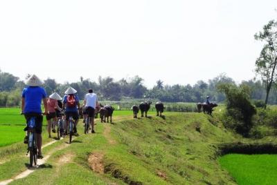 Tour en bicicleta por Hoi An (Privado) Tour en bicicleta por Hoi An (Privado)