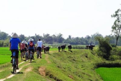 Ciclismo de pueblo en Hoi An Prviate Tour Ciclismo de pueblo en Hoi An Prviate Tour