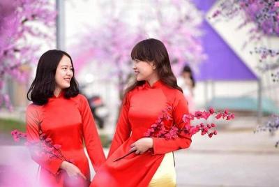 Alquiler HoiAn AoDai Alquiler HoiAn AoDai