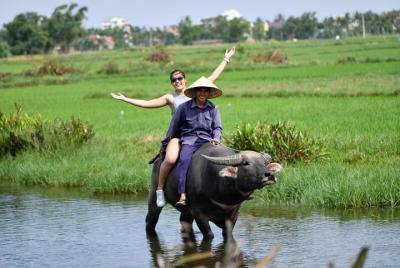 Buffalo Riding, Basket Boat Tour y clase de cocina Buffalo Riding, Basket Boat Tour y clase de cocina